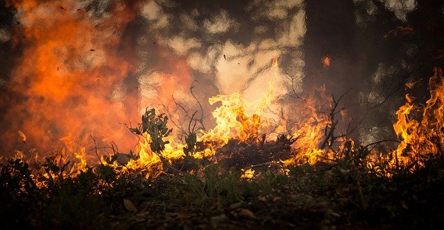 Nagroda za ujęcie sprawcy pożaru w Biebrzańskim Parku Narodowym